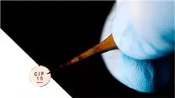 ##IMAGE##