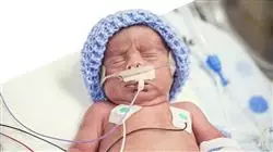 ##IMAGE##