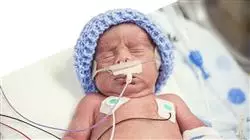 ##IMAGE##