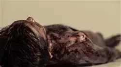 especializacion tanatología y criminalística en medicina forense