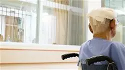 especializacion online valoracion dano medicina judicial forense