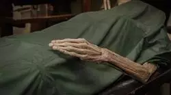 ##IMAGE##