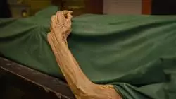 ##IMAGE##