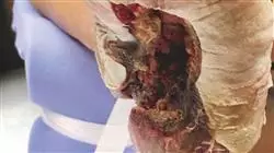 ##IMAGE##