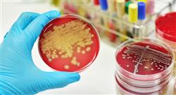 especializacion online antibióticos en el tratamiento de infecciones bacterianas