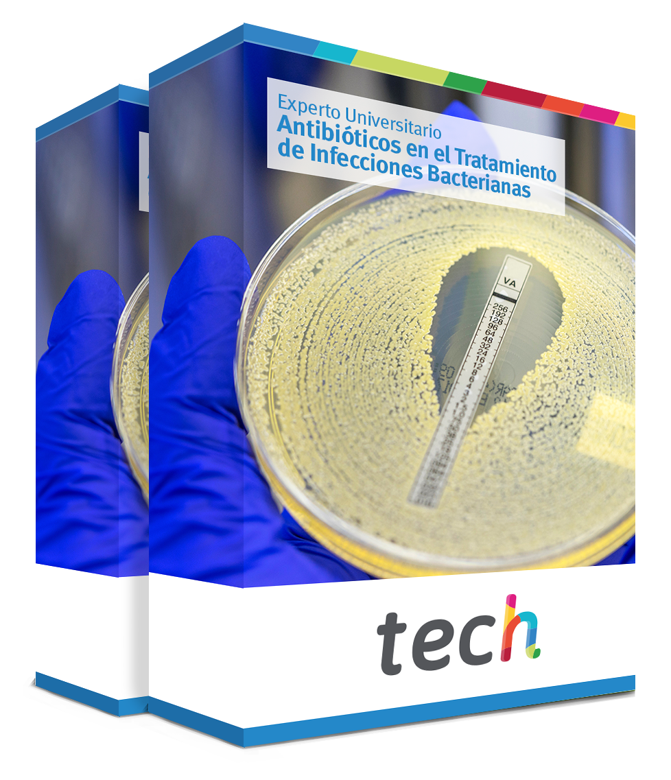 especializacion antibioticos tratamiento infecciones bacterianas caja