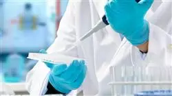 ##IMAGE##