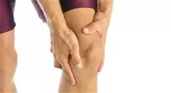 experto ecografía musculoesquelética de rodilla y pierna para el médico rehabilitador
