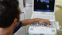 ##IMAGE##