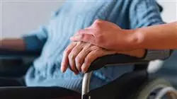 ##IMAGE##