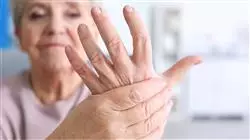 ##IMAGE##