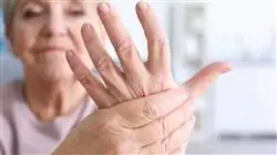 ##IMAGE##
