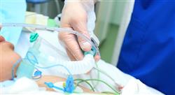 especializacion online procedimiento y técnica en el paciente bajo cuidados críticos cardiovasculares uci