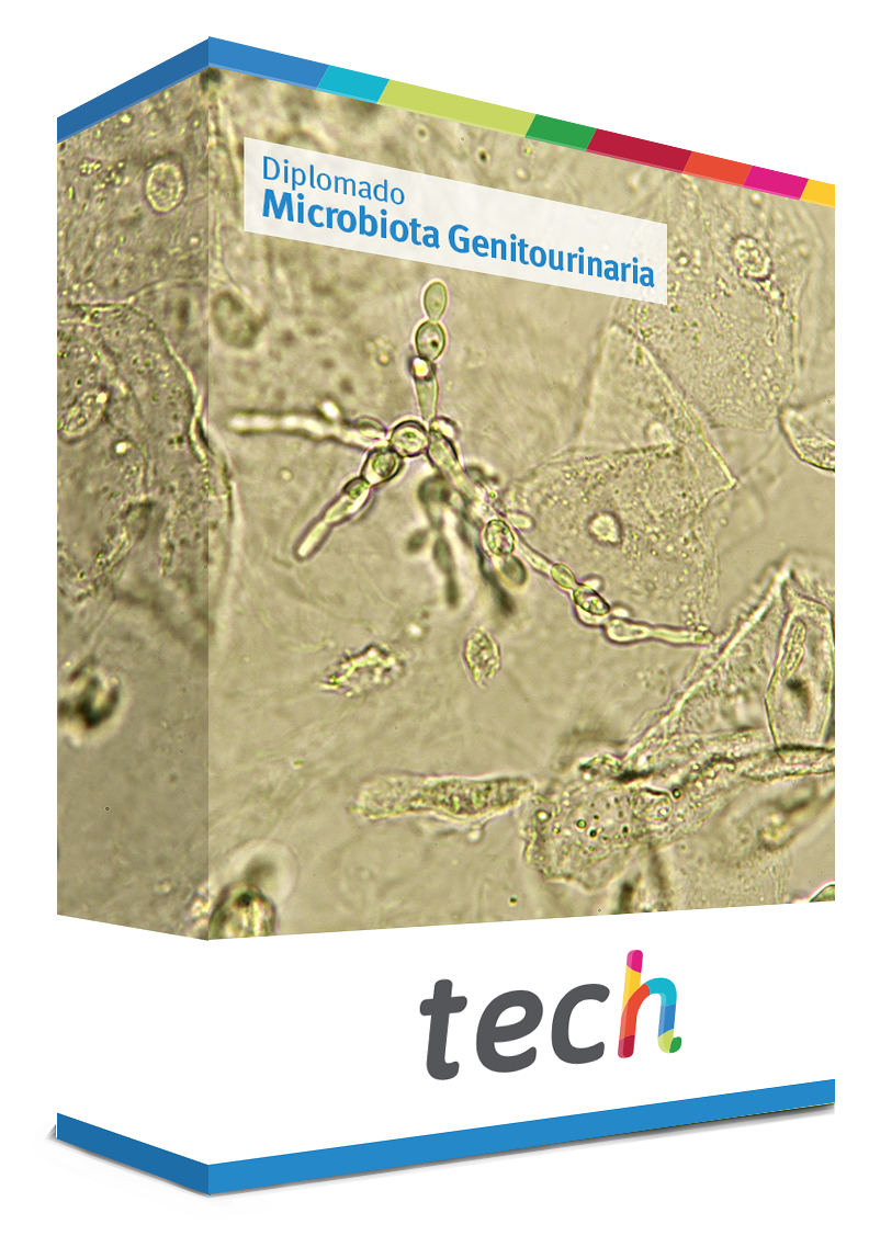 diplomado microbiota genitourinaria caja
