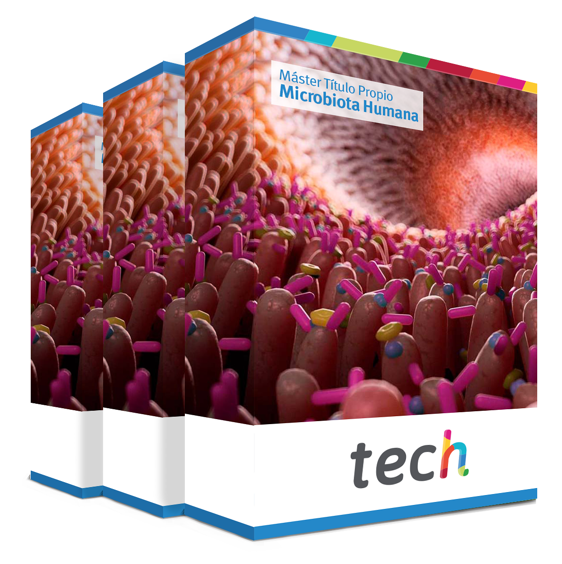 maestria microbiota humana caja