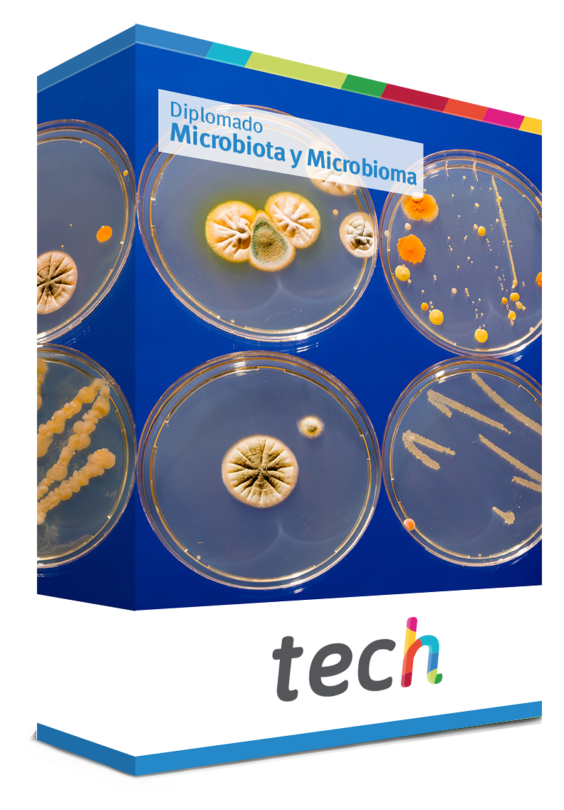 diplomado microbiota microbioma caja