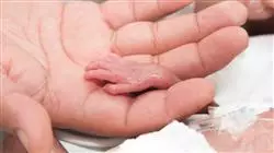 ##IMAGE##