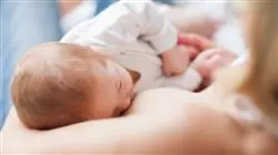 ##IMAGE##