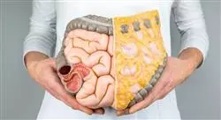 curso microbiota y homeostasis intestinal