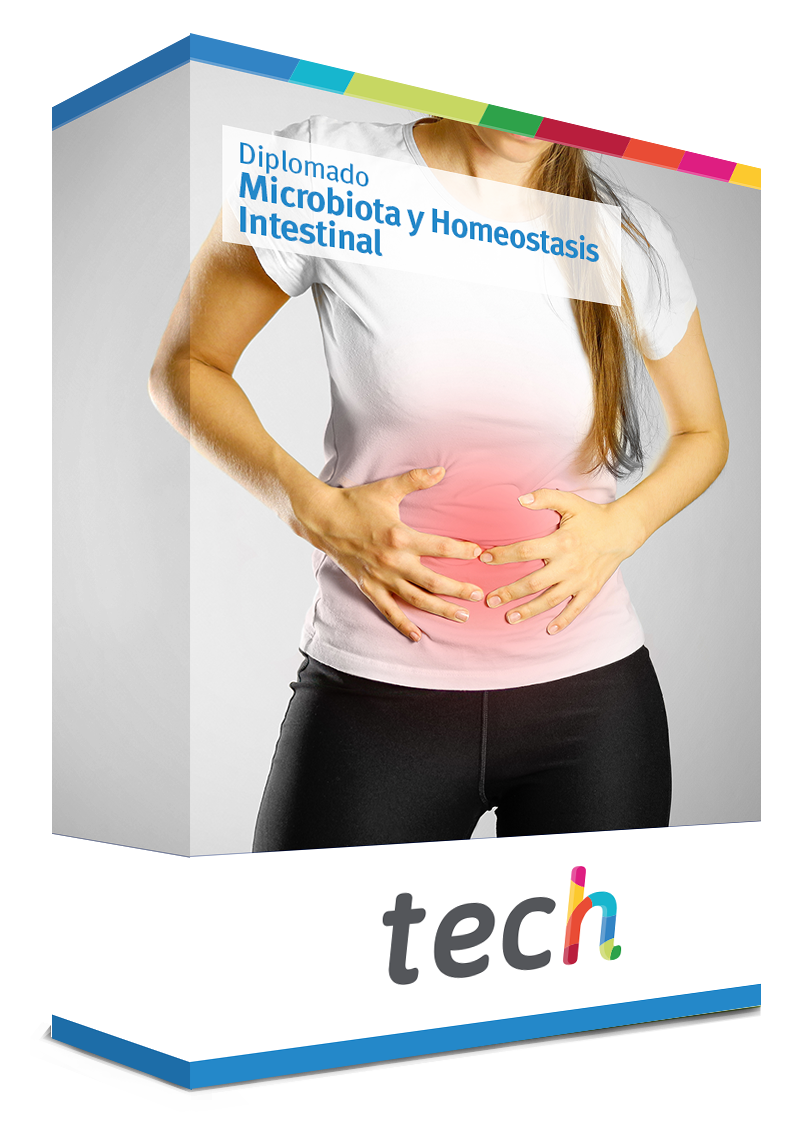 diplomado microbiota homeostasis intestinal caja