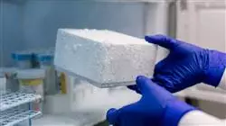 ##IMAGE##