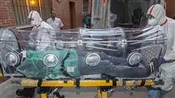 ##IMAGE##