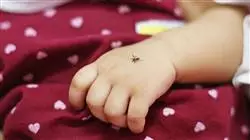 ##IMAGE##