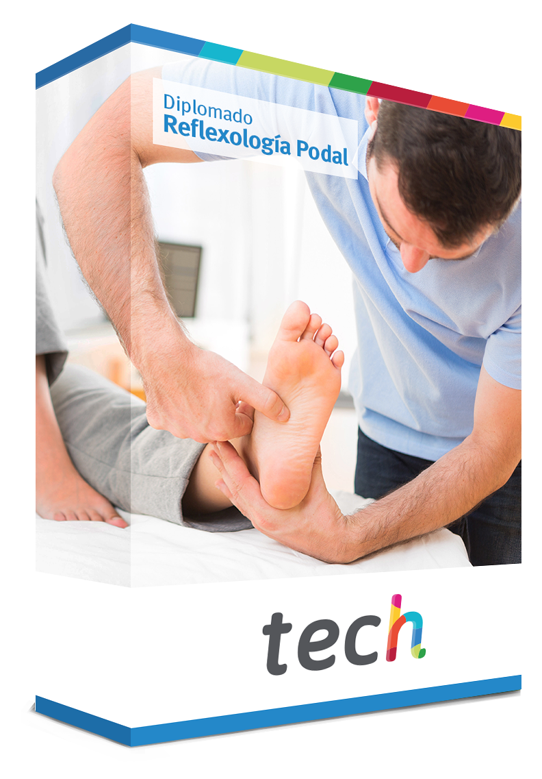 diplomado reflexologia podal caja