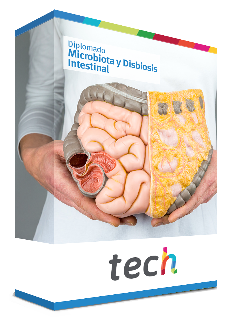 diplomado microbiota disbiosis intestinal caja