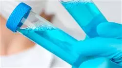 ##IMAGE##