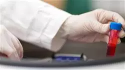 ##IMAGE##