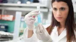 diplomado online bioetica normativas