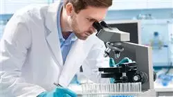 posgrado bioetica normativas