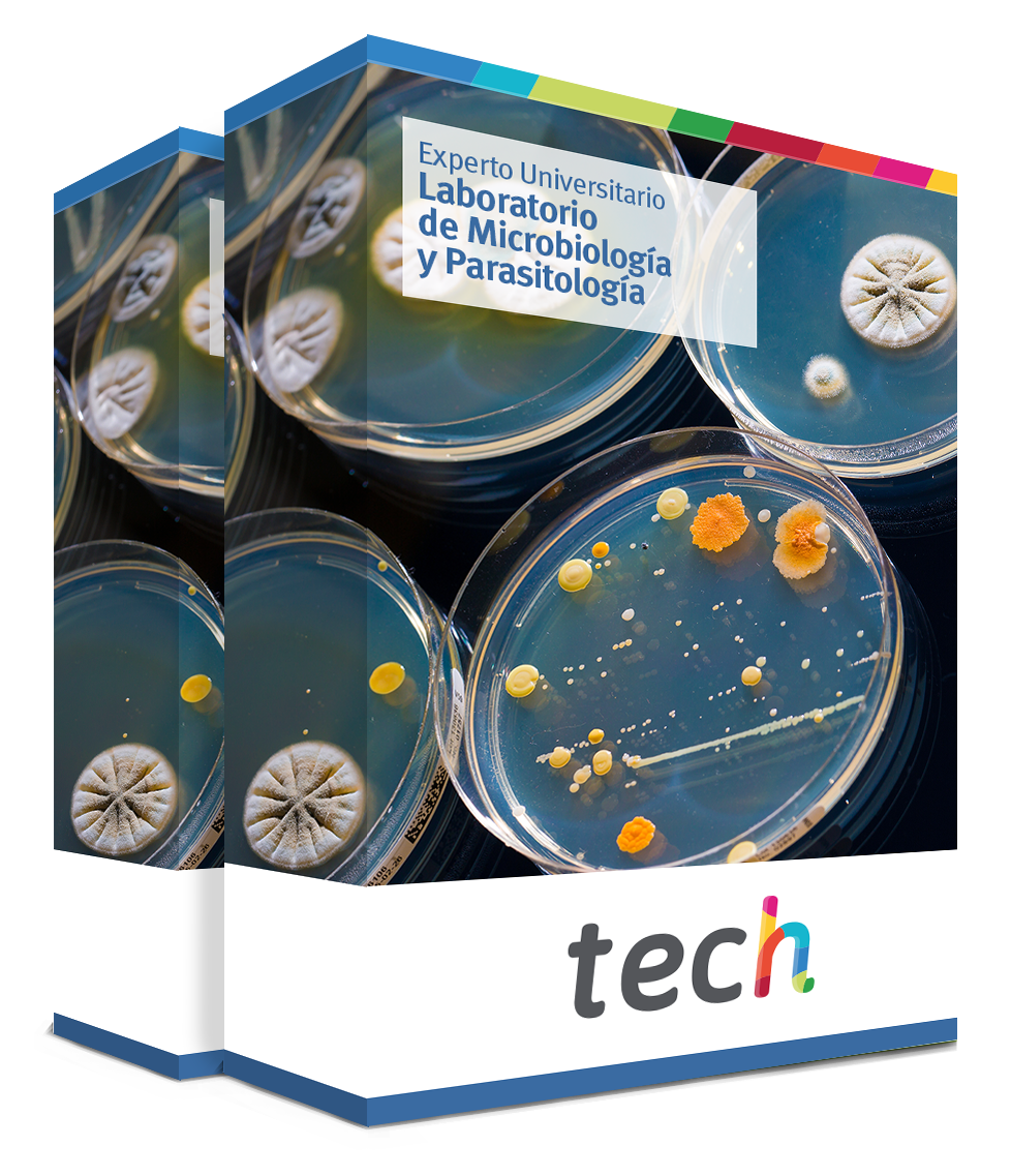 especializacion laboratorio microbiologia parasitologia caja