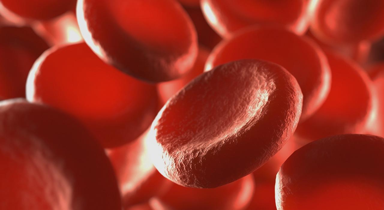 curso hematologia 2 Tech Universidad