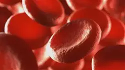 ##IMAGE##