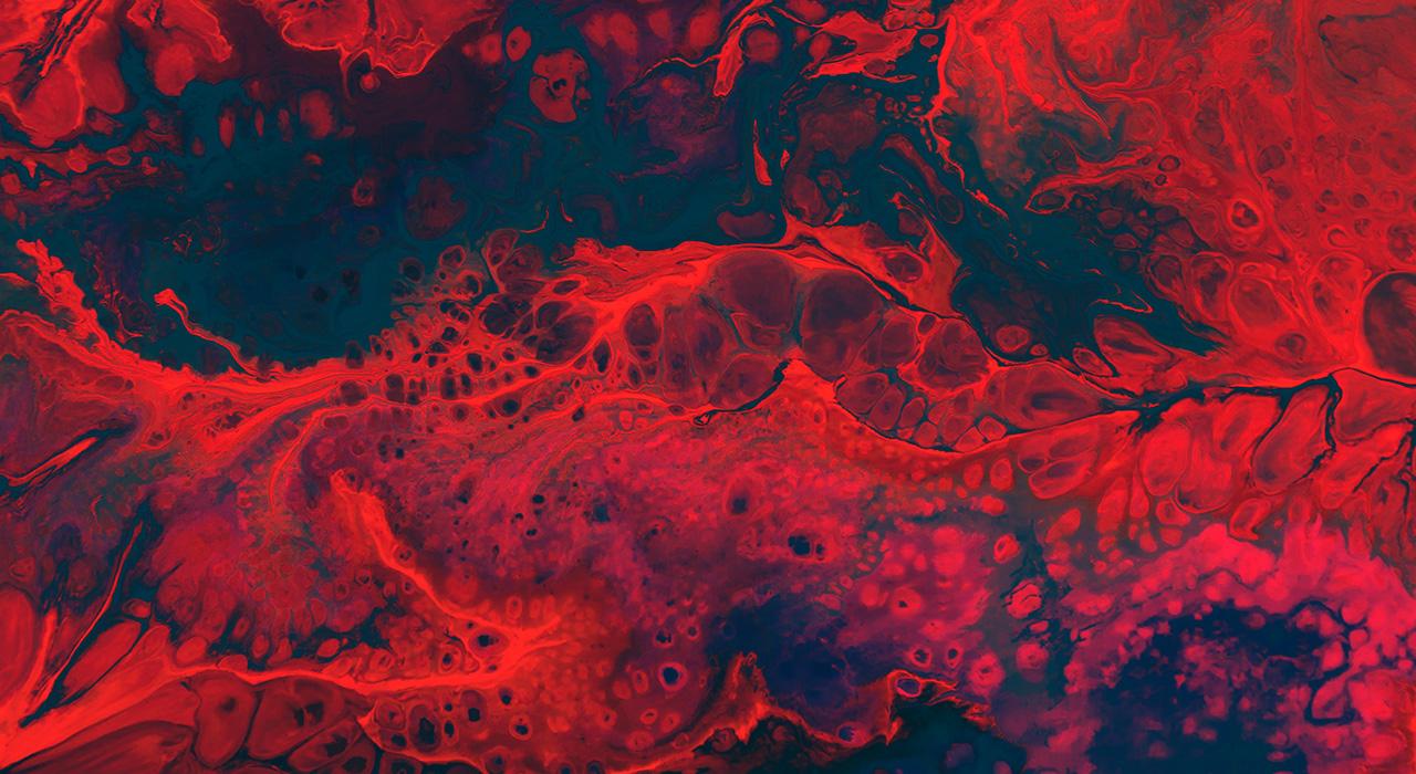 experto novedades trastornos hemorragicos fisiologia tratamiento 2 Tech Universidad
