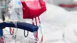 diplomado online actualizacion medicina transfuncional trasplante celulas hematopoyeticas