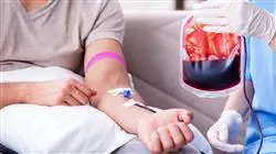 posgrado actualizacion medicina transfuncional trasplante celulas hematopoyeticas