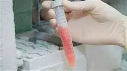 ##IMAGE##