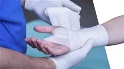 ##IMAGE##