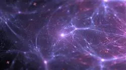 ##IMAGE##