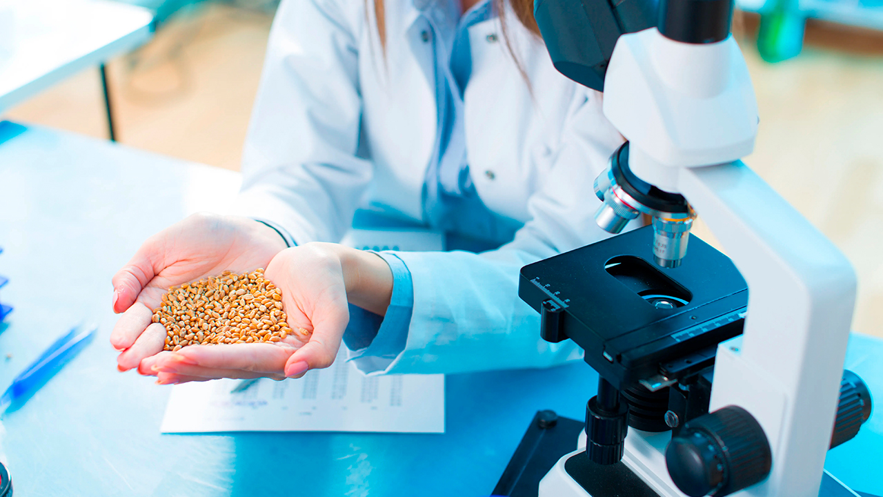 Maestría en Nutrición Genómica