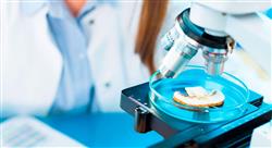 maestria online nutrición genómica y de precisión