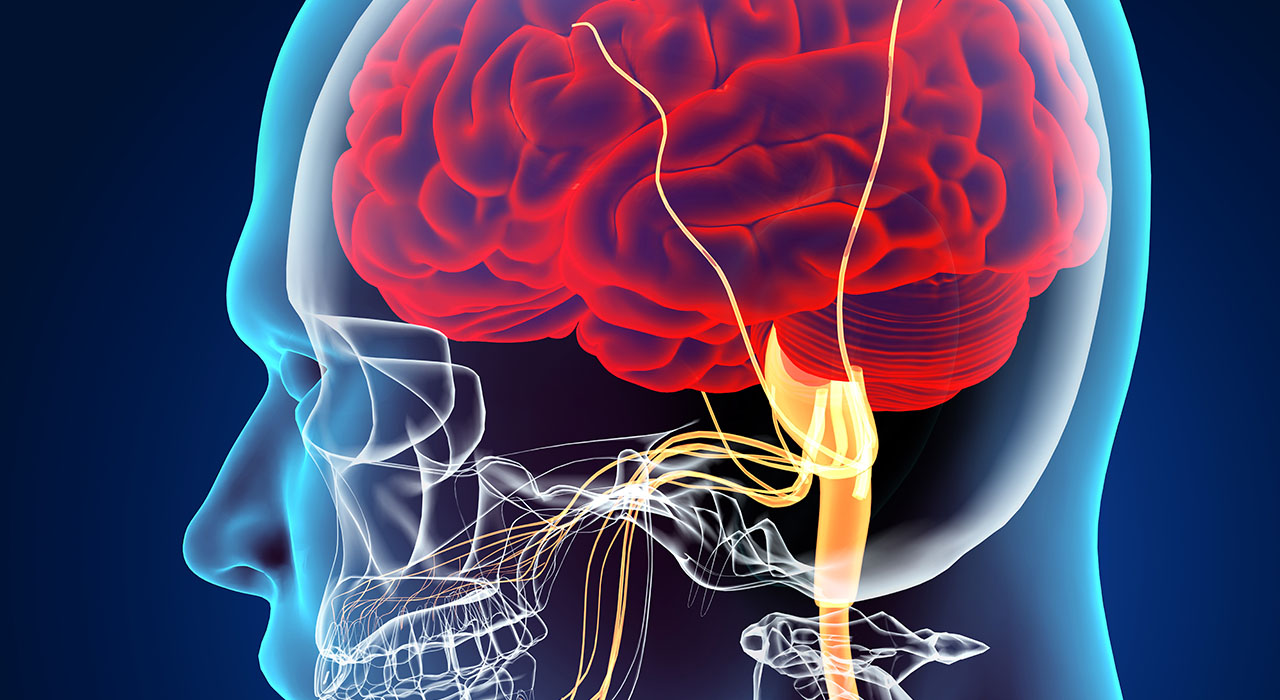 Curso Universitario En Enfermedades Neurodegenerativas De La Neurona ...