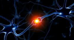 curso enfermedades neurodegenerativas neurona motora parapesia espastica hereditaria   Tech Universidad