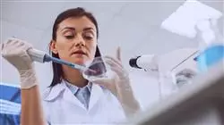 ##IMAGE##