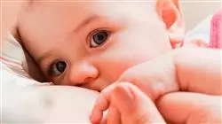 ##IMAGE##