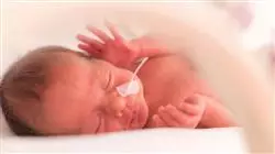 ##IMAGE##