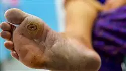 ##IMAGE##